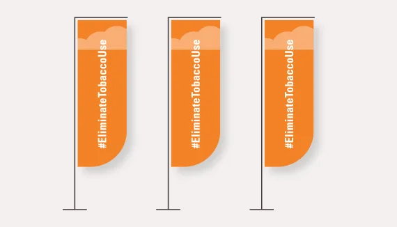 Flag poll banners 2x